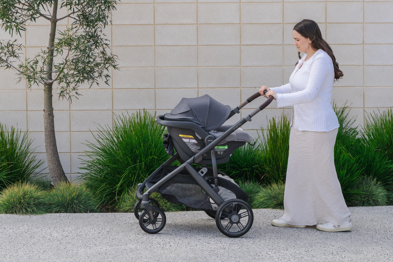 Sydney's Trusted Choice for Little Ones